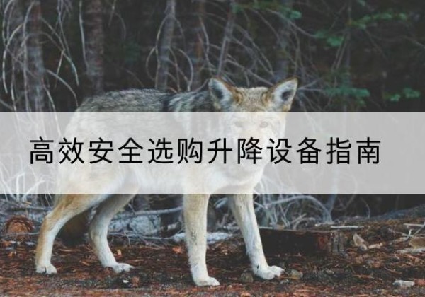 南江升降货梯厂家推荐-*安全选购升降设备指南