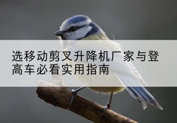 南江电动升降机厂家-选移动剪叉升降机厂家与登高车必看实用指南