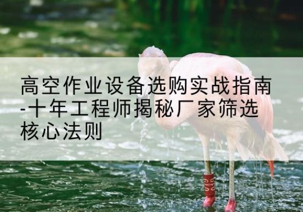 南江剪叉式升降机厂家-高空作业设备选购实战指南-十年工程师揭秘厂家筛选核心法则